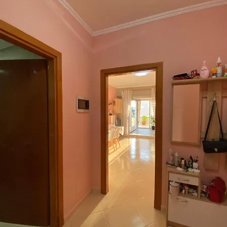 On Rent Near The Center And Near The Of Tirana.